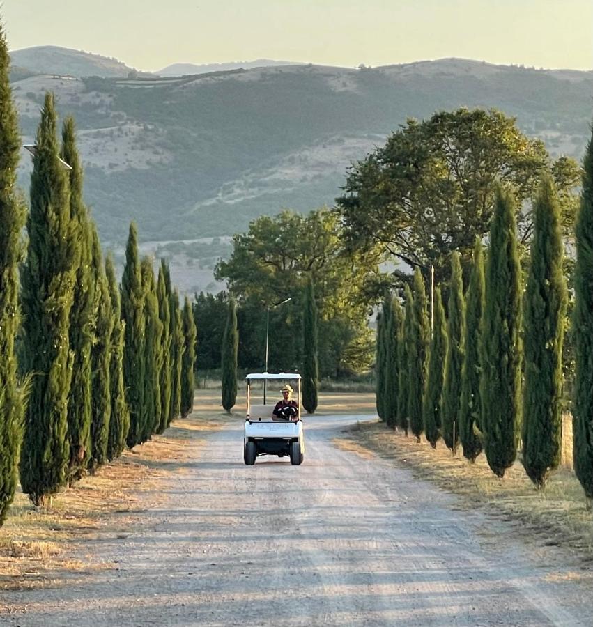 Ca' Del Conte - Maison De Charme ปาดูลา ภายนอก รูปภาพ